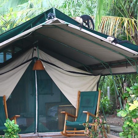 Rafiki Beach Camp Matapalo  エクステリア 写真