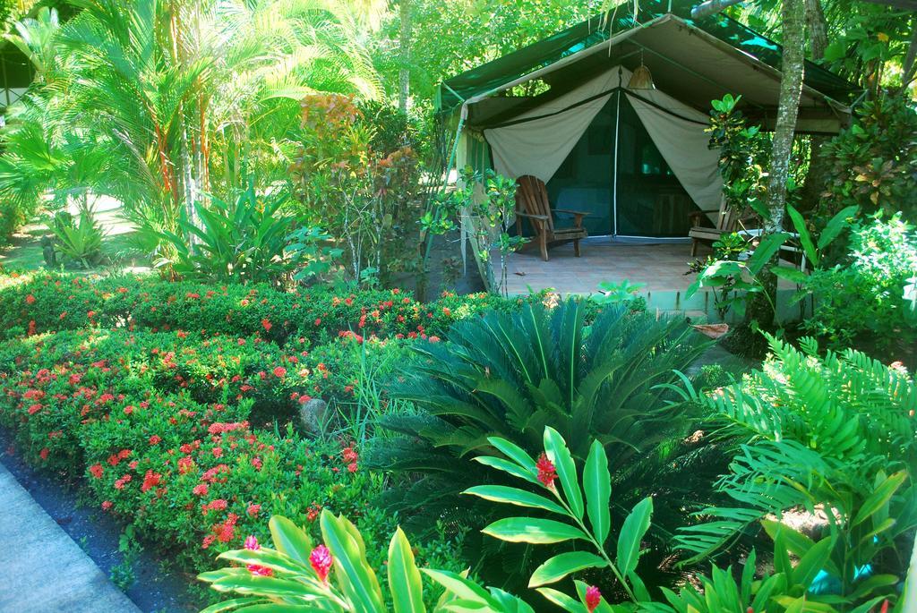 Rafiki Beach Camp Matapalo  部屋 写真