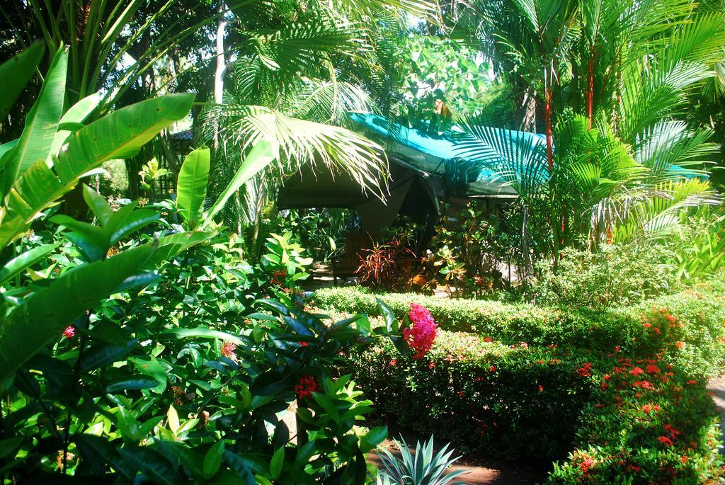 Rafiki Beach Camp Matapalo  部屋 写真