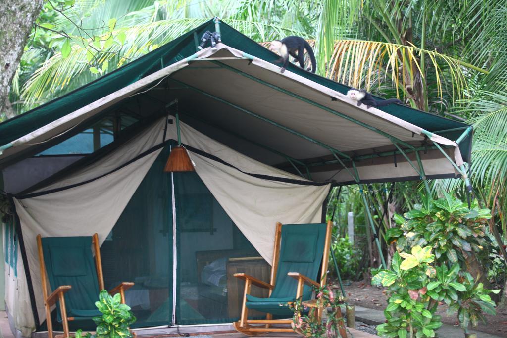 Rafiki Beach Camp Matapalo  エクステリア 写真